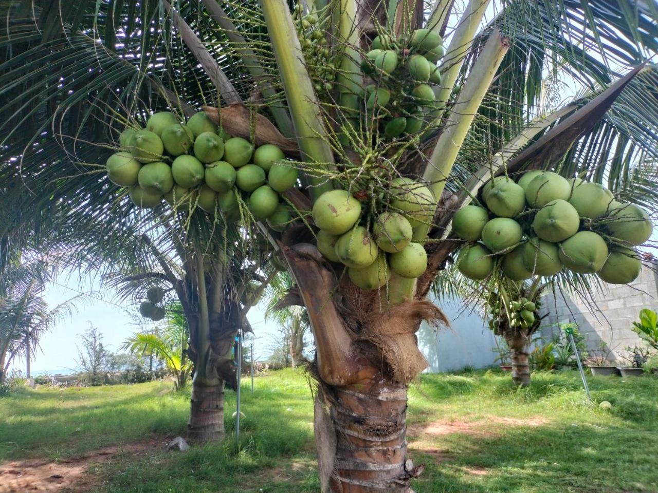 Bien Ngoc Homstay Phan Thiết Extérieur photo