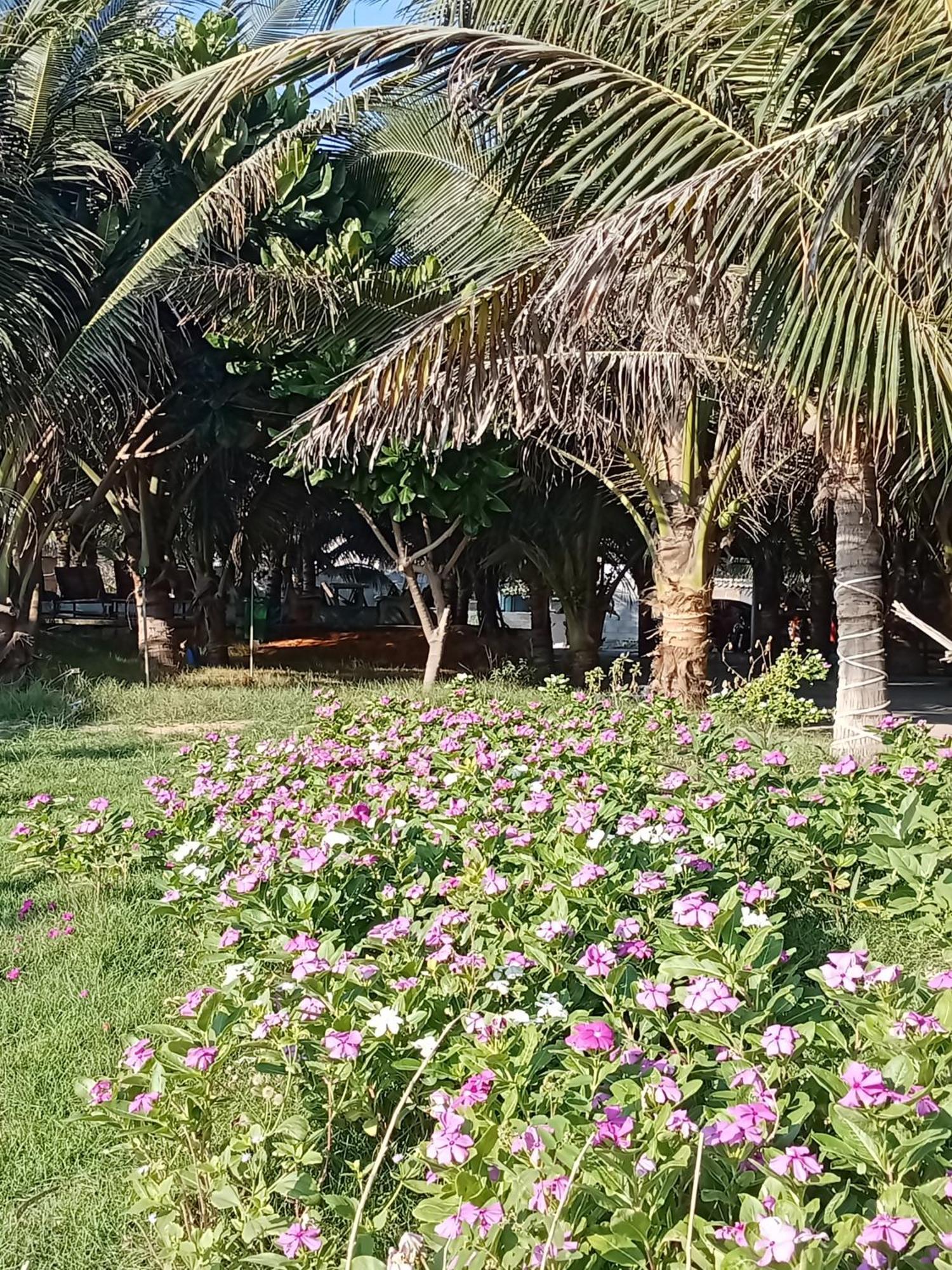 Bien Ngoc Homstay Phan Thiết Extérieur photo