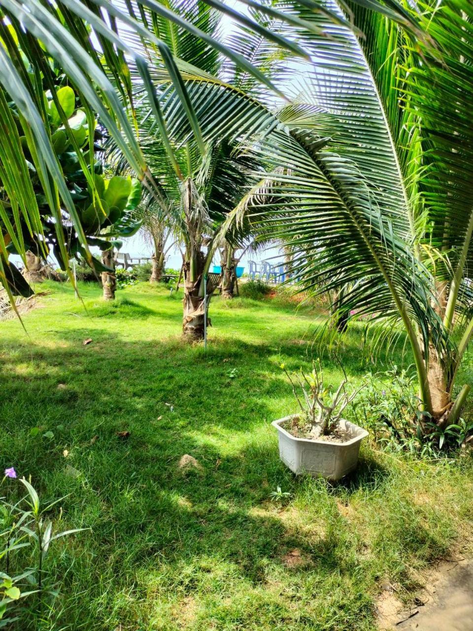 Bien Ngoc Homstay Phan Thiết Extérieur photo