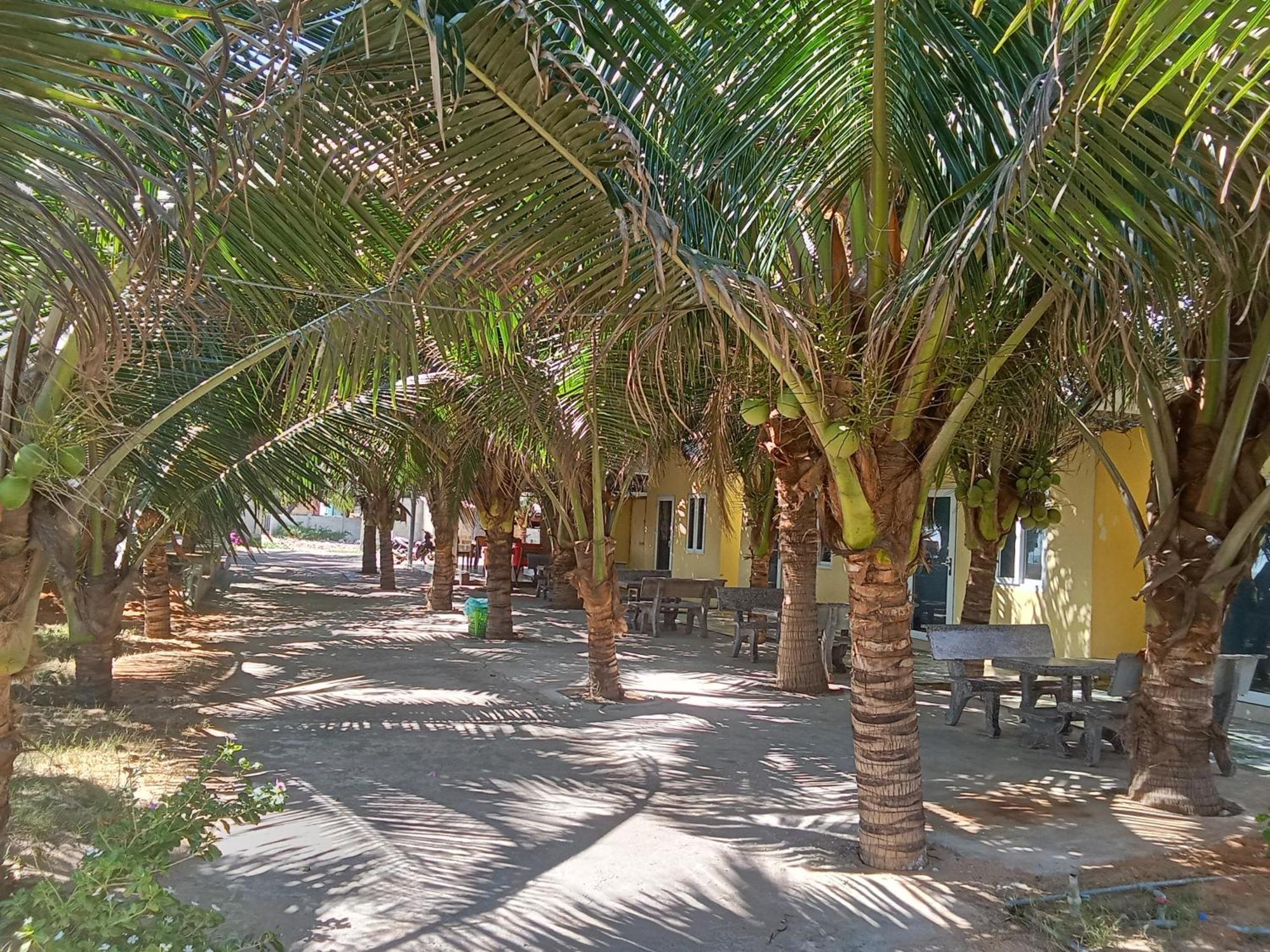 Bien Ngoc Homstay Phan Thiết Extérieur photo