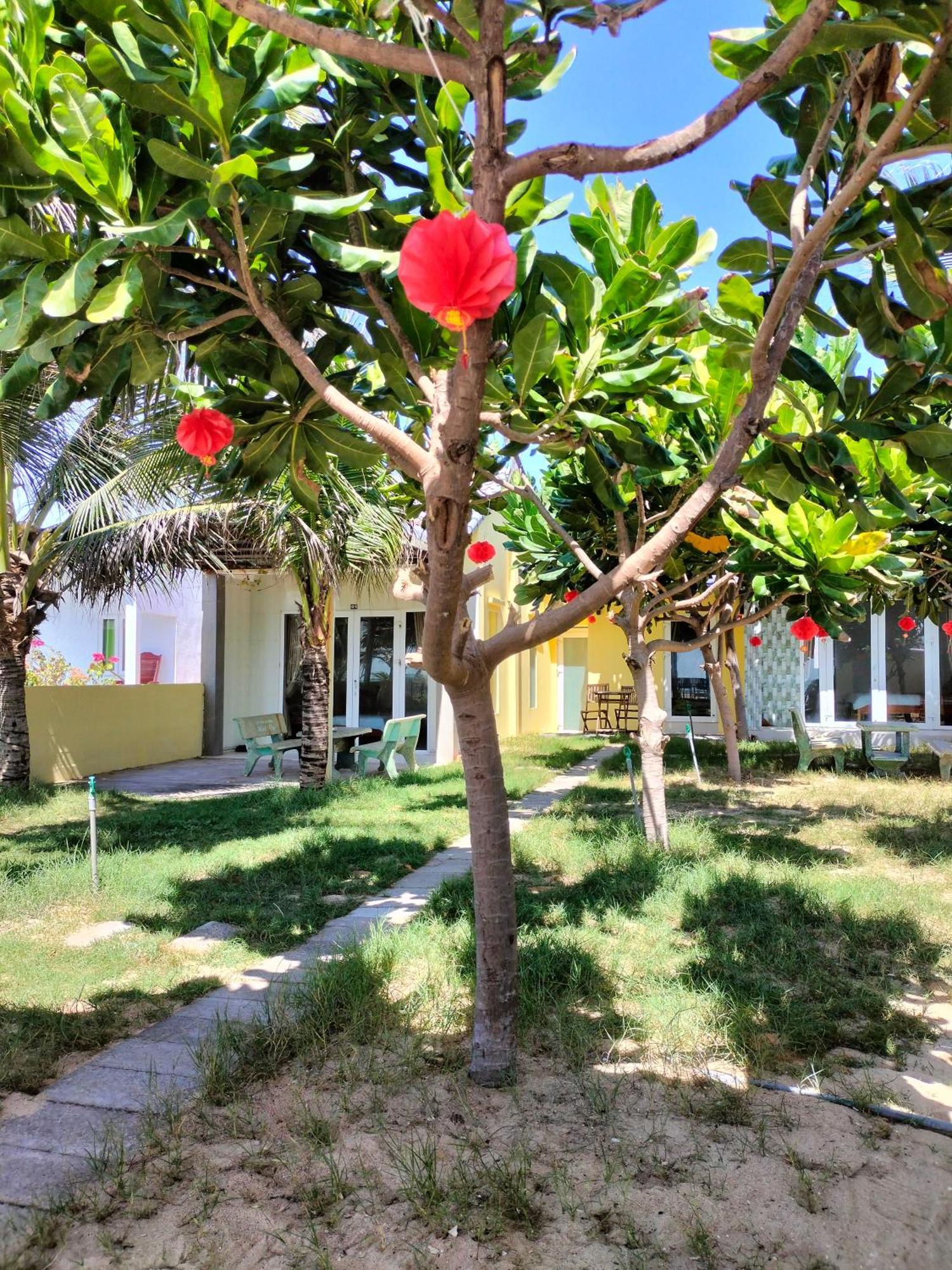 Bien Ngoc Homstay Phan Thiết Extérieur photo