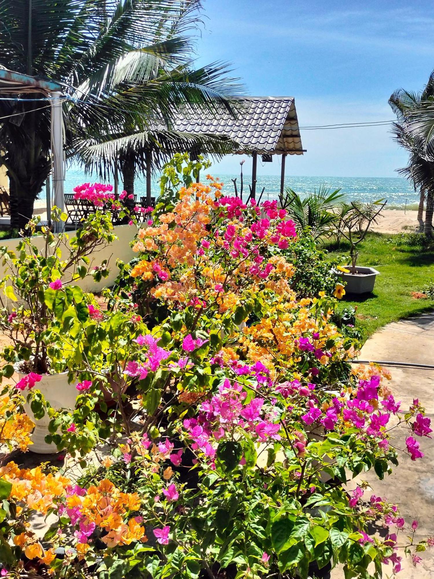 Bien Ngoc Homstay Phan Thiết Extérieur photo